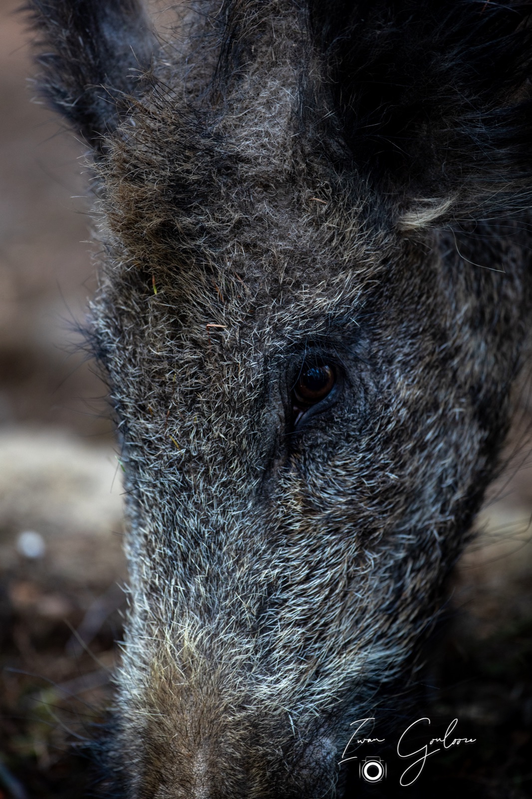 08 mei 2022 181017 1DX42888